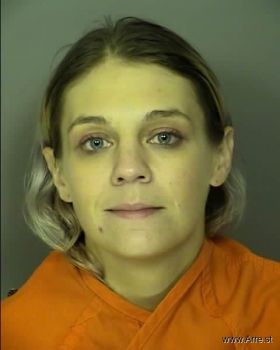 Danielle Marie Babbitt Mugshot