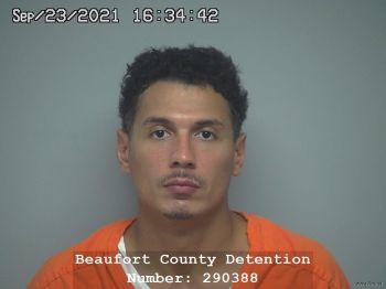 Darryl  Houston Mugshot