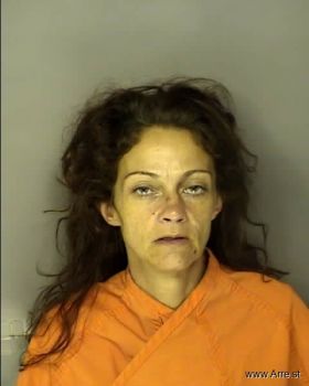 Deana Marie Lucas Mugshot