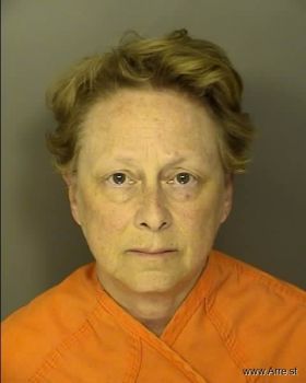 Debra Ann Anderson Mugshot