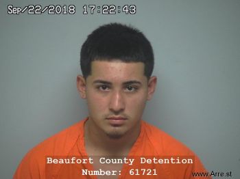 Dennis Adrian Najera Nava Mugshot