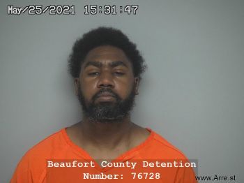 Dominique Charles Hamilton Mugshot