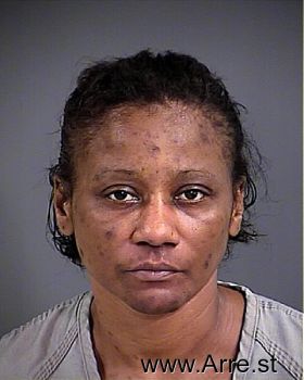 Donna L Evans Mugshot