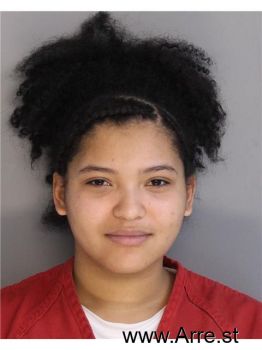 Erica  Smith Mugshot