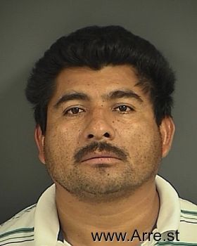 Eduardo  Flores-mejia Mugshot