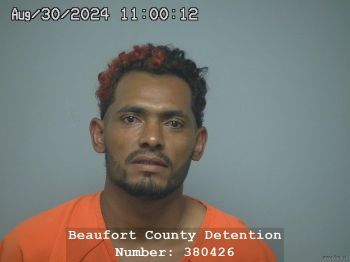 Edwin Humberto Martinez-ruiz Mugshot