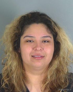 Elizabeth  Avellaneda Mugshot