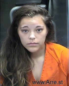 Elizabeth Anne Price Mugshot