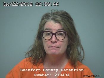 Elizabeth Mason Smith Mugshot