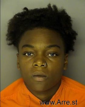 Erica Shontea Mason-austin Mugshot