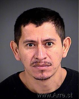 Fidel  Garcia-torres Mugshot