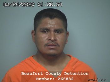 Filiberto  Hernandez-castellanos Mugshot