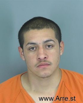 Francisco Javier Guzman-martinez Mugshot