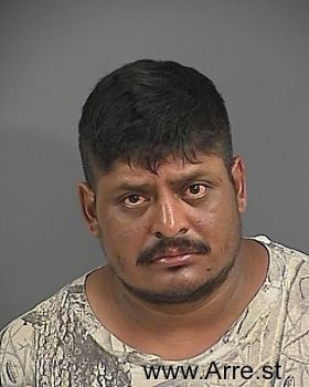 Francisco  Pena-hernandez Mugshot