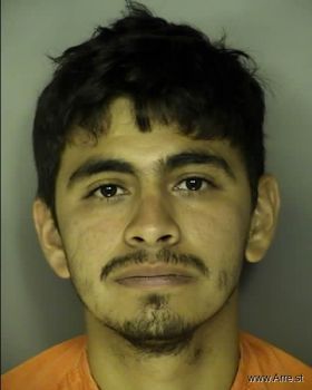 Franklin Jonathan Sanchez-galo Mugshot