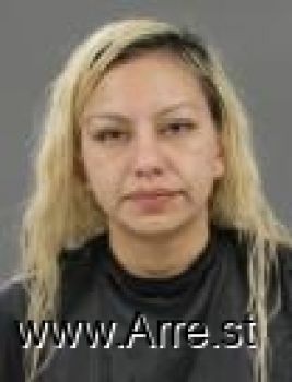 Grissel D Leyva Mercado Mugshot