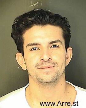 Gabriel  Mendoza-rivera Mugshot