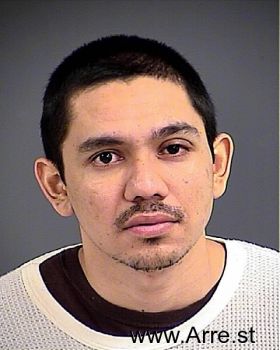 Hector  Cruz-castillo Mugshot