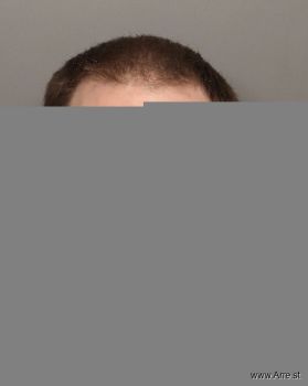 Ian  Steigelman Mugshot