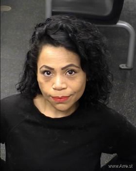 Ingrid Lizette Mejia-rodriguez Mugshot