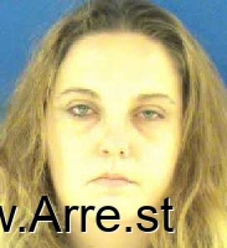 Janice Lynn Anderson Mugshot