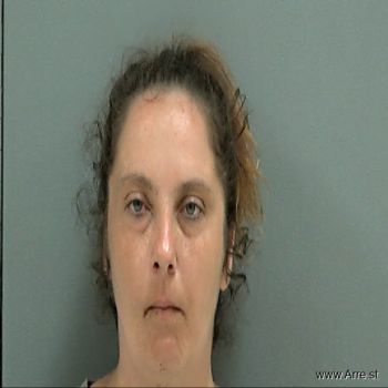 Janice Lynn Anderson Mugshot