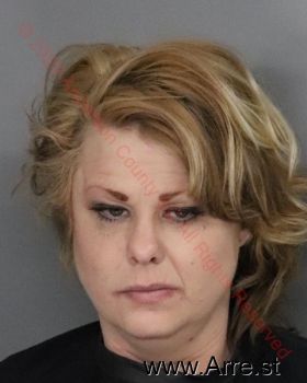 Jerri Ann Childs Mugshot