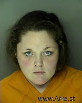 Jamie Lynn Anderson Mugshot