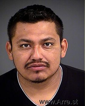 Javier  Reyes-martinez Mugshot