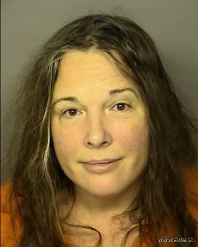 Jennifer Dawn Hopkins Mugshot