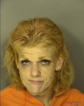 Jessica Lynn Akins Mugshot