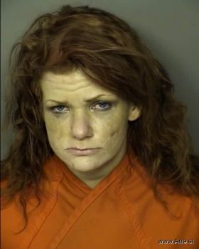 Jessica Lynn Akins Mugshot