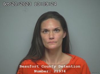 Jessica Renee Davidson Mugshot