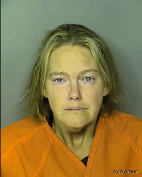 Jessica Chapman Howell Mugshot