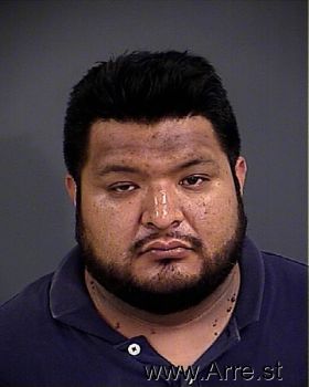 Jesus  Castillo-oseguera Mugshot