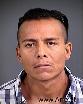 Jesus  Ortega-mendoza Mugshot