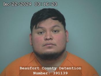 Jeudryn Manuel Jarquin Arana Mugshot