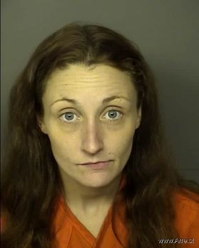 Jodi Michelle Smith Mugshot