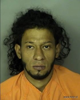 Joel  Medina-avelia Mugshot