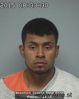 Jose Louise Hernandez-martinez Mugshot