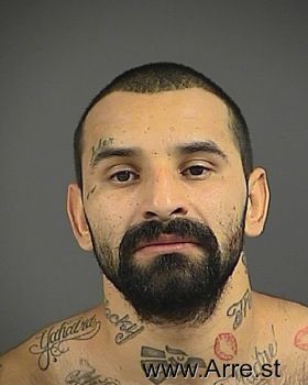 Jose  Salinas-gonzalez Mugshot