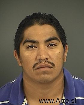 Jose  Trejo-chavez Mugshot