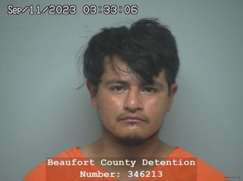 Juan Raphael Castro Mugshot