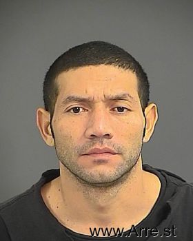 Juan  Navarrete-bermudez Mugshot