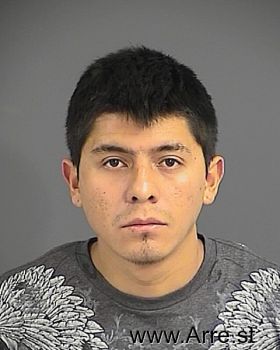 Juan  Navarro-chavez Mugshot