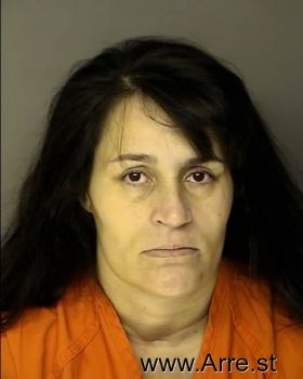 Julie Lynn Johnson Mugshot