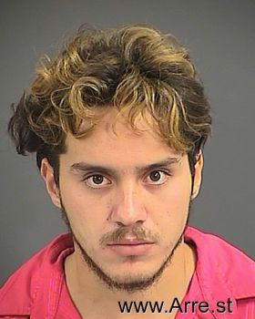 Julio  Hernandez-sanchez Mugshot