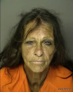 Kimberly Ann Hylton Mugshot