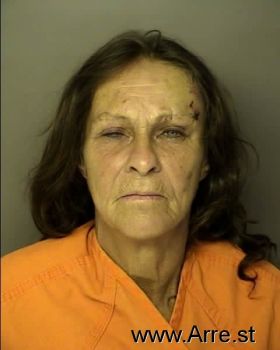 Kimberly Ann Hylton Mugshot