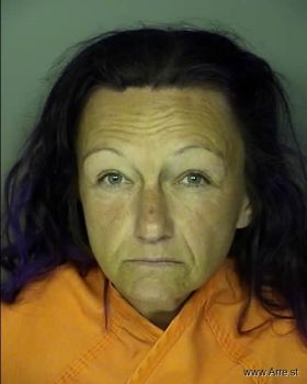 Kristy Lynn Lee Mugshot